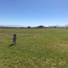 Farallones Marine Sanctuary