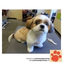 Sydnee's Pet Grooming - Pet Grooming