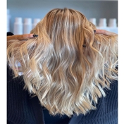 Gallery Image Number 2