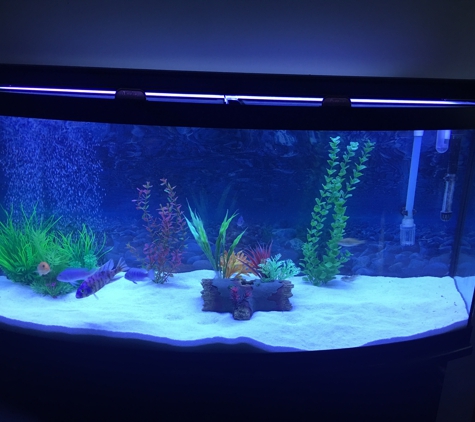 Ray Aqua Scaping - Allentown, PA