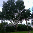 TR Lawn & Tree - Landscaping & Lawn Services
