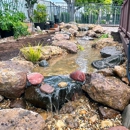 AquaLife Ponds - Ponds & Pond Supplies