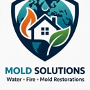 Global mold solutions llc - Mold Remediation