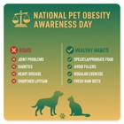 Earthwise Holistic Pet Supply & Grooming Services