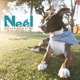 Neel Veterinary & Emergency Hospital