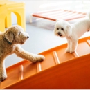 Dogtopia of Homewood - Pet Boarding & Kennels