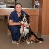 Western Shore Veterinary Hospital gallery