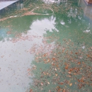 Allied Aquatics Complete Pool Care - Swimming Pool Repair & Service