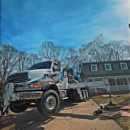 Expert Tree Solutions - Tree Service