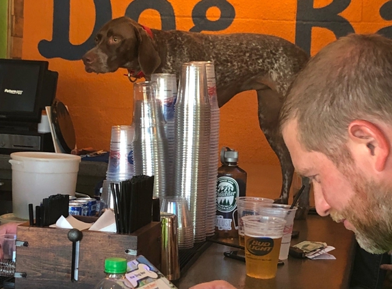 The Dog Bar - Saint Petersburg, FL