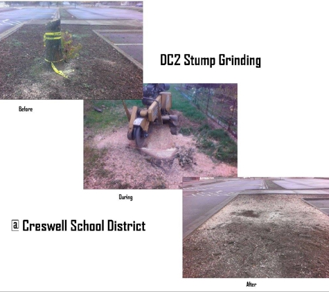 DC2 Stump Grinding & Lawn Care