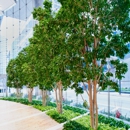 Amlings Interior Landscaping - Landscape Designers & Consultants