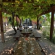 Clark Ferrea Winery