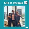 Intrepid Digital gallery