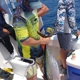 Reelsport Fishing Charters