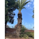 Green Life Tree Service Inc - Tree Service