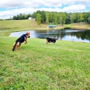 Laura's Dog Retreat - Pet Grooming