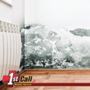 1st Call Disaster Services - Mold Remediation