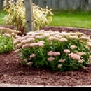 JL Property Services LLC - Landscape Contractors