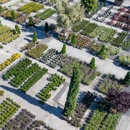 Moon Valley Nurseries - Nurseries-Plants & Trees