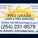 ProGrass lawn & tree service - Landscaping & Lawn Services