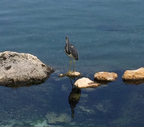 Florida Oceanographic Coastal Center - Stuart, FL