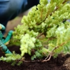 Gino's Landscaping gallery