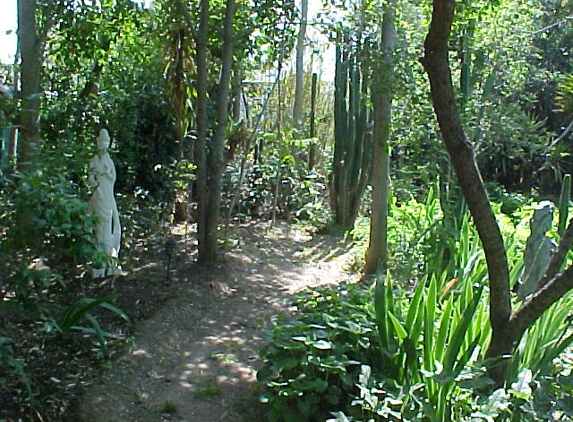 Oasis Botanical Sanctuary - Yucaipa, CA. Yard