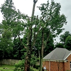 R M Tree & Stump Removal