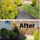 Eddy's Gutter Cleaning and Landscape