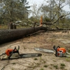 Aaron tree service gallery