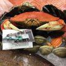 Vince's Shellfish Company - Fish & Seafood-Wholesale