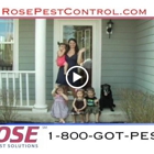 Rose Pest Solutions