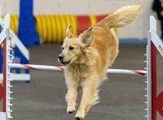 All FUR Fun Training and Event Center - Addison, TX