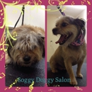 Soggy Doggy Salon - Pet Grooming