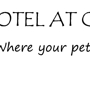Pet Hotel at Coral Gables