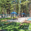 Tahoe Valley Campground gallery