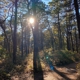 Quogue Wildlife Refuge