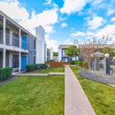 Canvas Apartments - Apartments