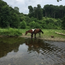 Sunset Valley Farm - Horse Transporting