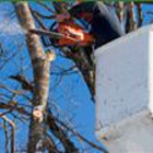 Hartsell Tree Service