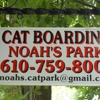 Noah's Park-Exclusive Cat Boarding gallery