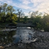 Sycamore Grove Regional Park gallery