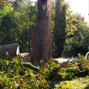 Pacific Northwest Tree Services - Tree Service