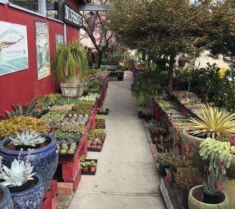 Deep Roots Garden Center & Florist - Manhattan Beach, CA