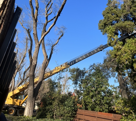 Green Valley Tree Service