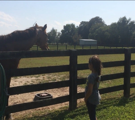 Stonehouse Stables - Toano, VA