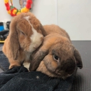 EarthWise Pet Hamburg - Pet Services