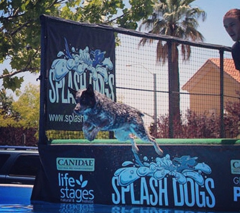Spotted Dog Yoga - Folsom, CA