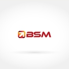 BSM - A Santa Monica SEO Company